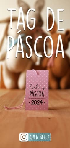 Coelho Barrigudim - Imagem 11